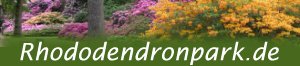 Rhododendronpark.de stellt (fast) alle wichtigen Rhododendronparks in Deutschland vor